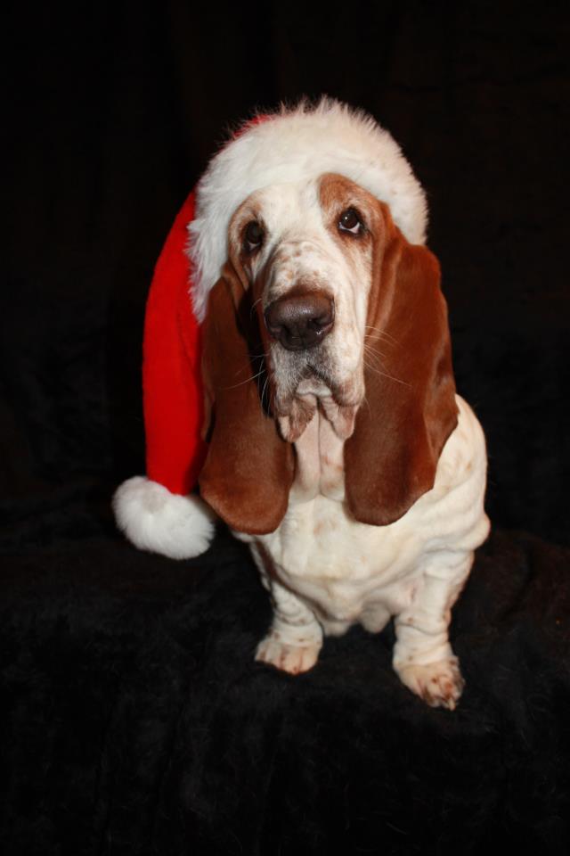 44235398_1080869155422635_7390620298065739776_n